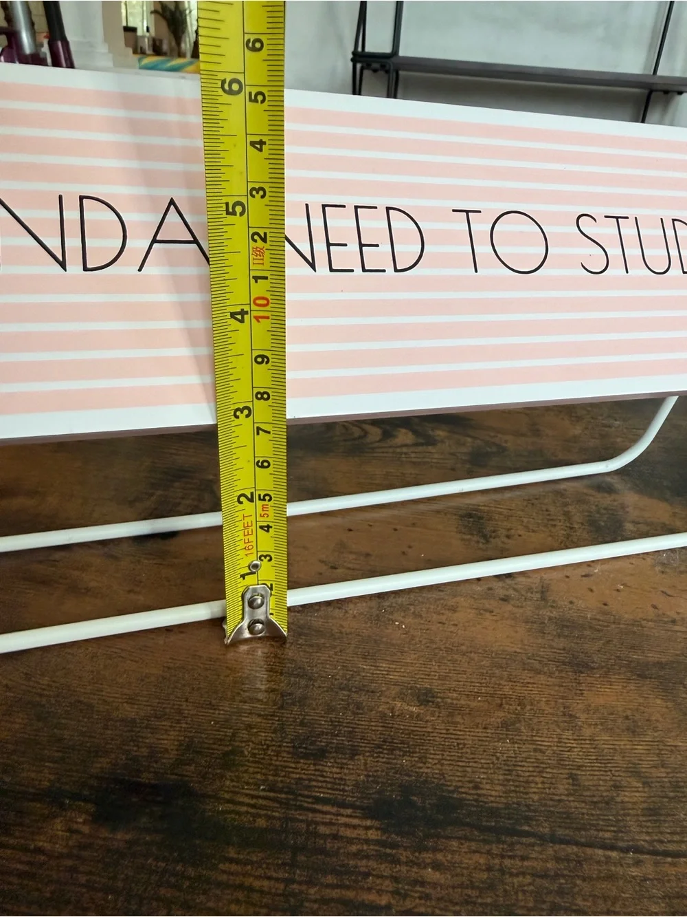 Kinda Need to Study - Want to Take a Nap Pink Desk Sign - Home Office Accent